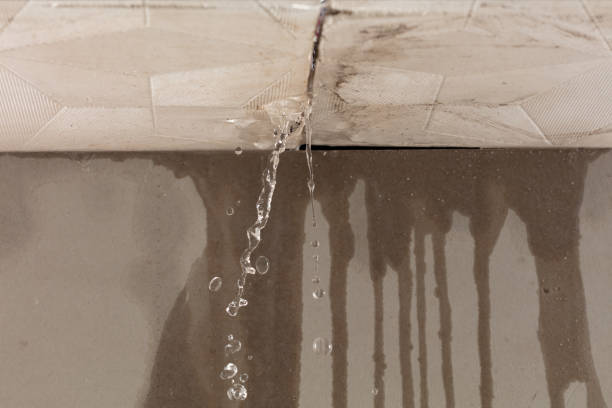 Professional Structural Drying technician working in Dale, TX